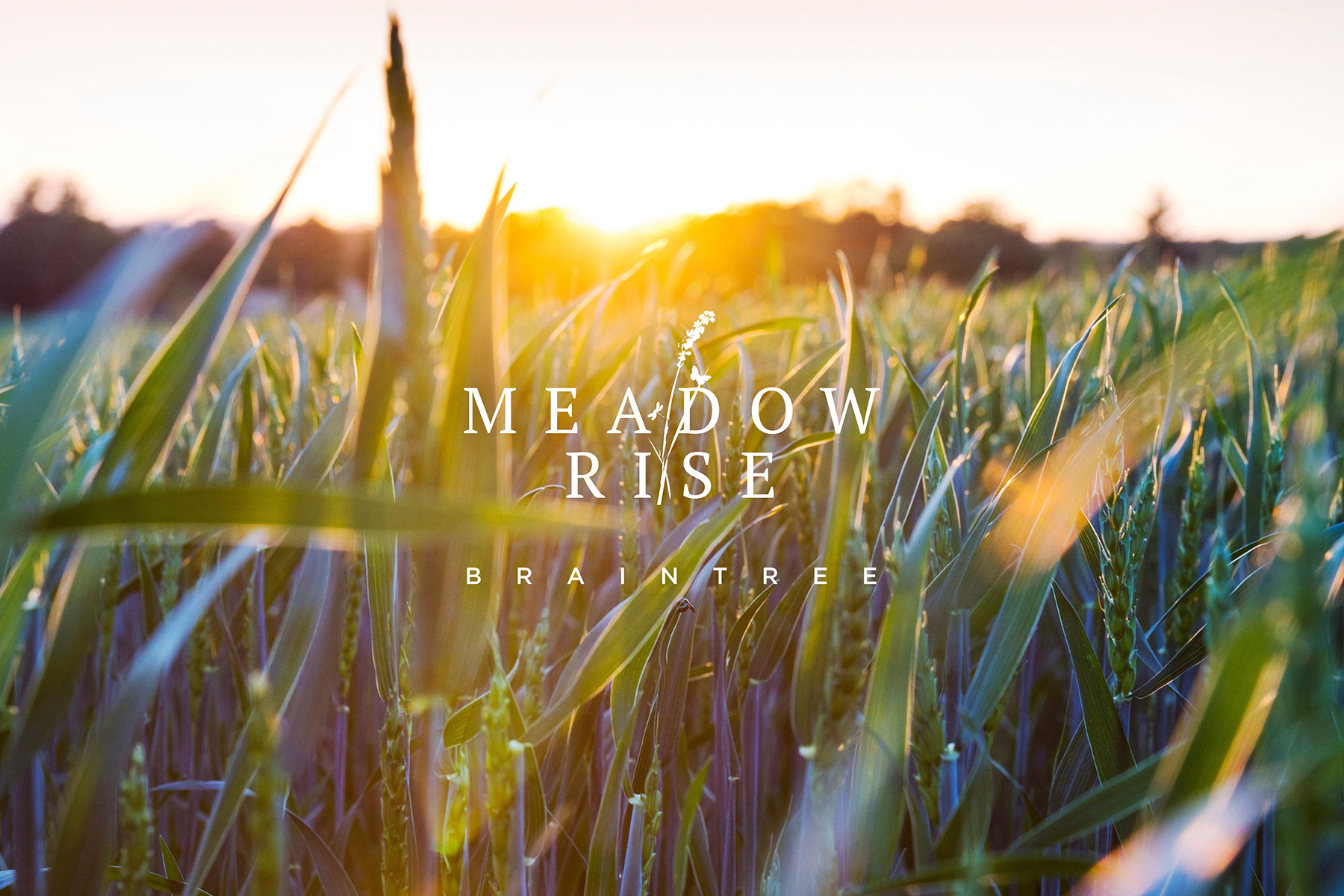 Meadow Rise brand design for Countryside Properties 