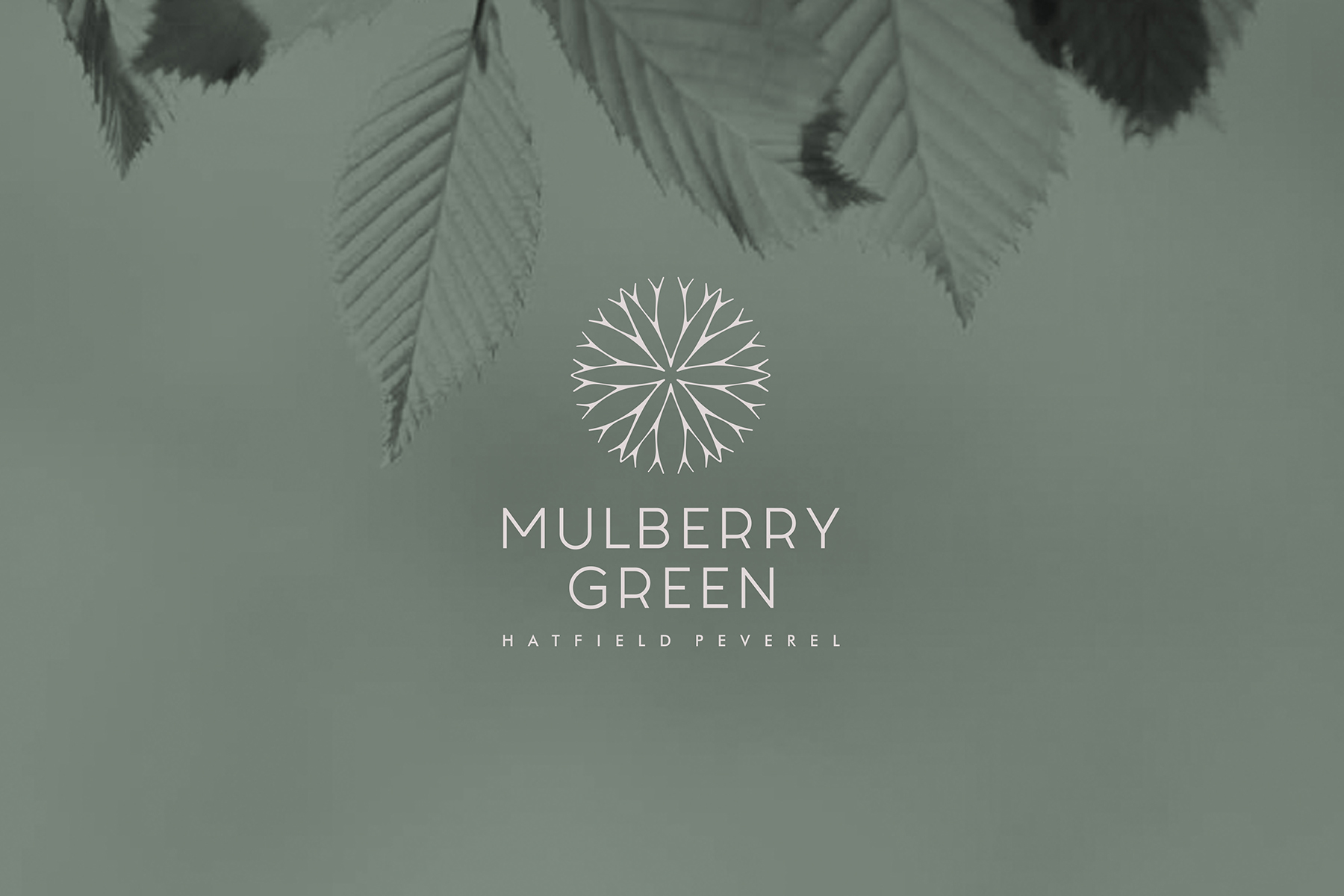 Mulberry Green brand design for Countryside Properties 
