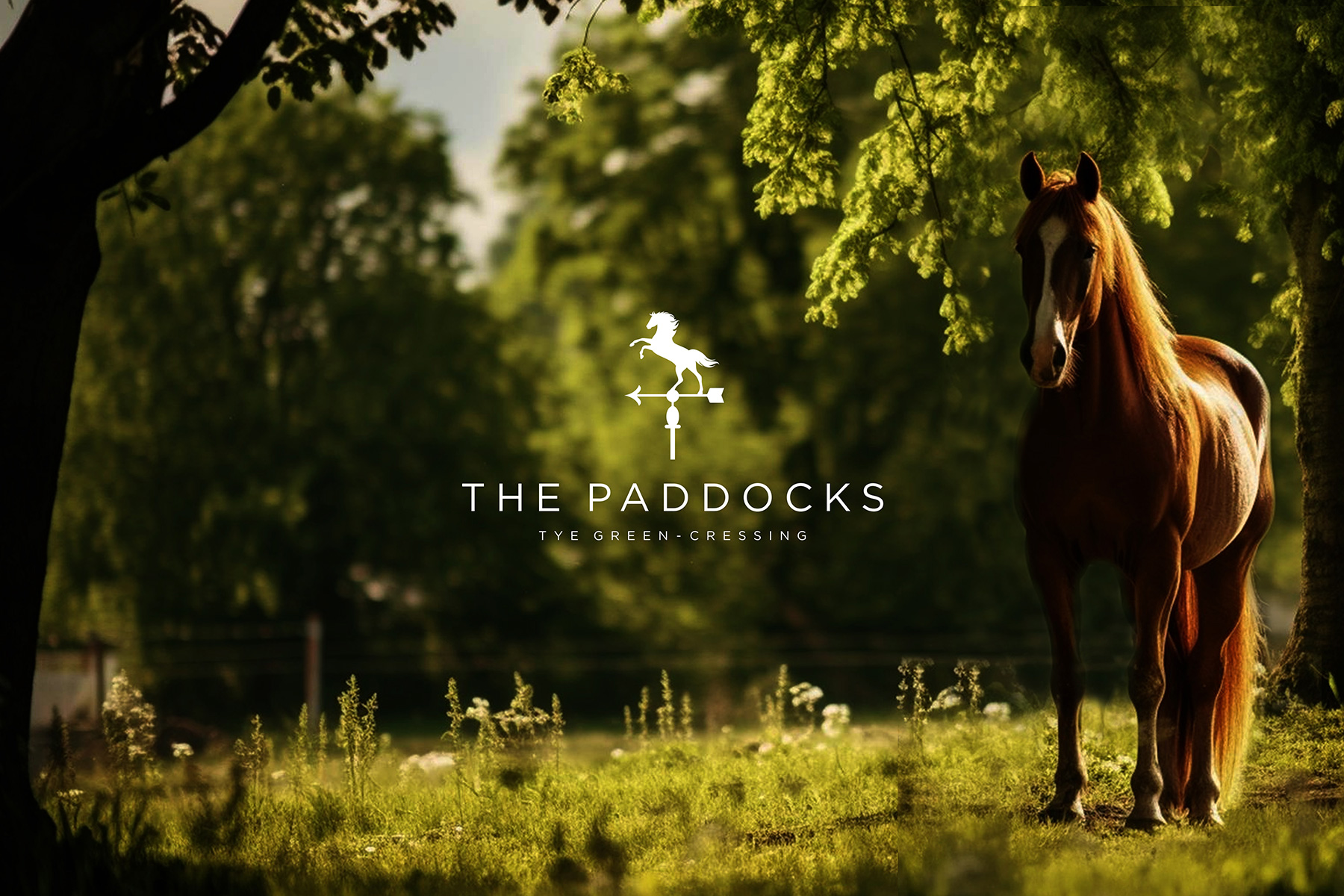 The Paddocks brand design for Countryside Properties 
