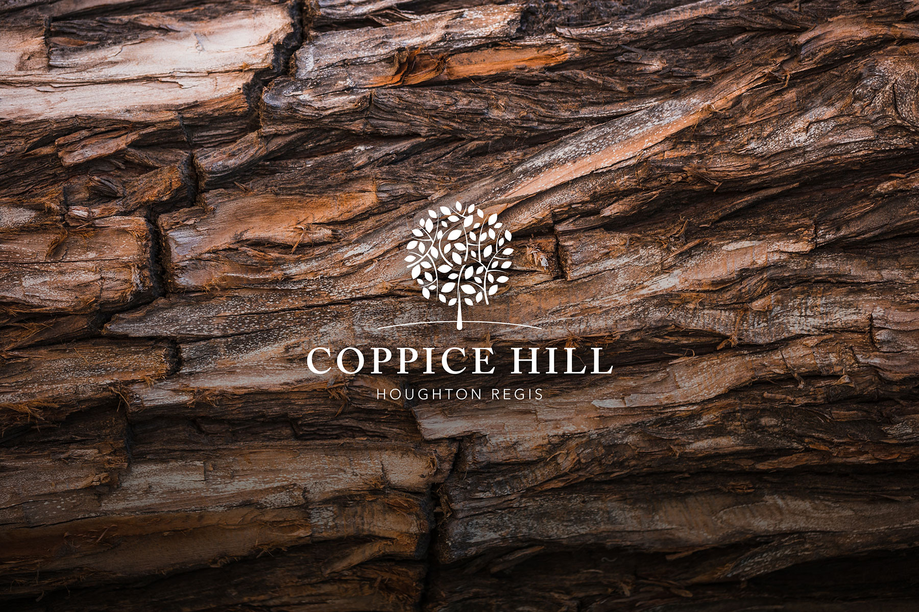 Coppice Hill brand design for Countryside Properties 